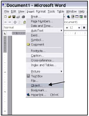 graphic - Microsoft Word menu