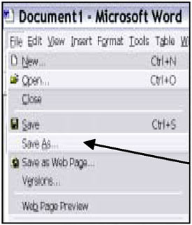 graphic - Microsoft Word menu