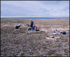 Archaeologists at work