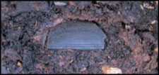 A soapstone