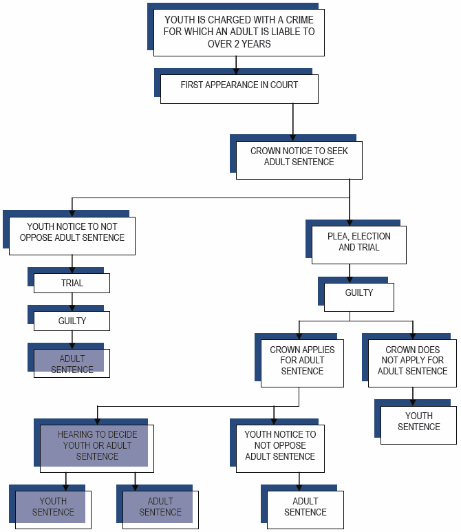 FLOWCHART III: Crown Chooses to Seek an Adult Sentence