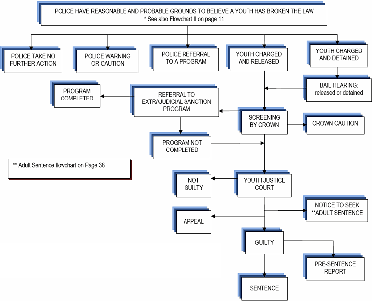 Flowchart showing the case process for a young offender.
