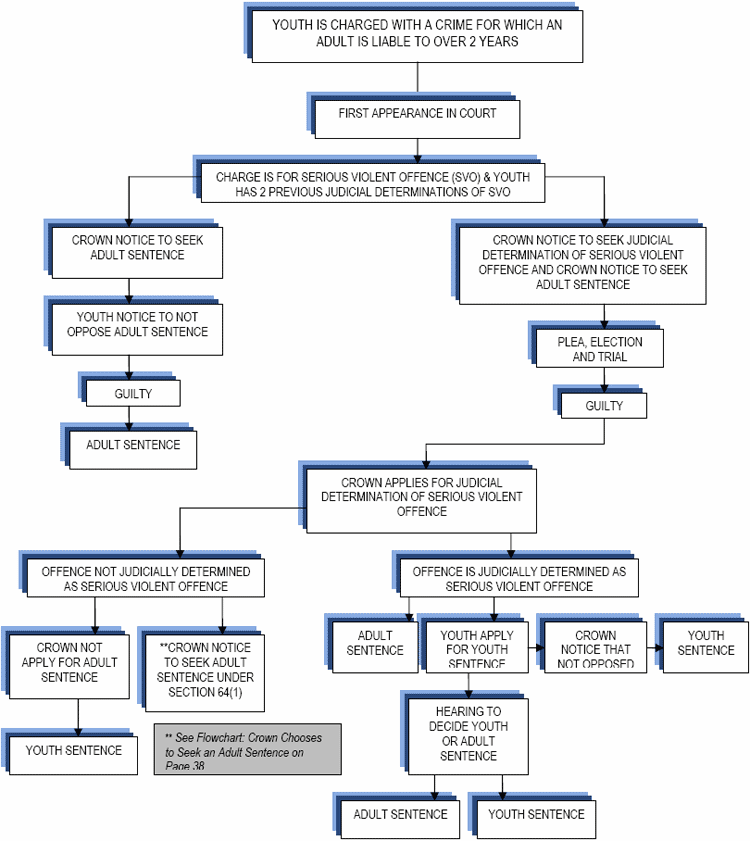Flowchart V: Presumptive Offence "b"