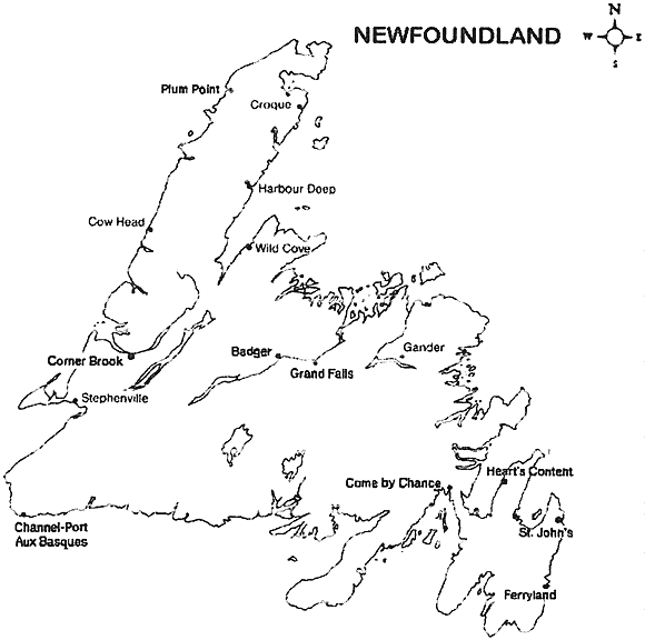 graphic of a map of Newfoundland