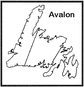 graphic of a map of Newfoundland with the word "Avalon"