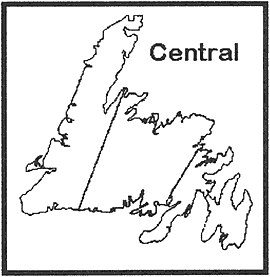 graphic of a map of Newfoundland with the word "Central"