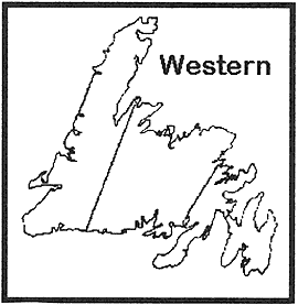 graphic of a map of Newfoundland with the word Western