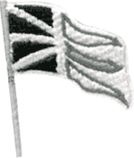 graphic of a Newfoundland flag