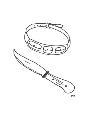 Illustration of a money belt and a knife