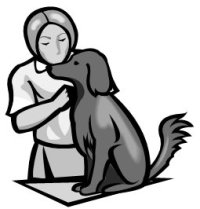 a woman washing a dog