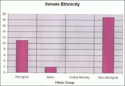 graphic of a bar graph shows the ethnic groups and the percentages of the inmate ethnicity