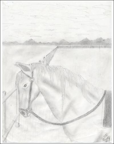 graphic: A drawing of a horse inside a fence.