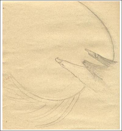 graphic: A drawing of an eagle, wolf, and a fish.