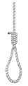 noose