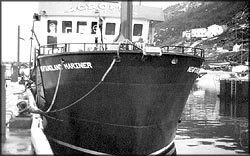 The Newfoundland Mariner