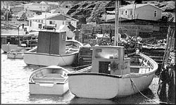 Petty harbour