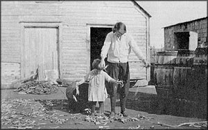 Scattering caplin to dry