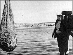 Evidence of declining stocks