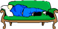 nap on couch
