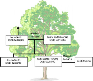 family tree