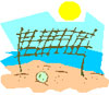 volleyball net