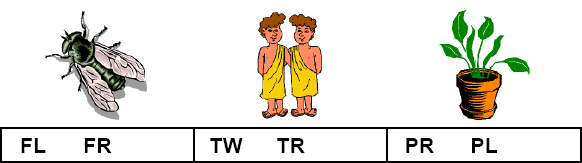 Learner has to circle the initial cluster of the words fly, twin and plant.