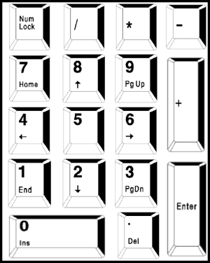 Computer Keyboard Keypad