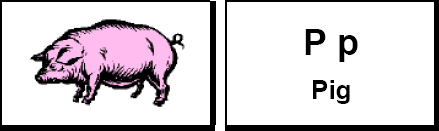 Pig