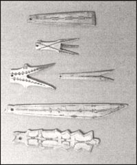 photo of several Beothuk bone decorations