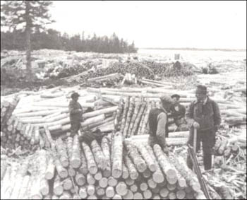 photo of four men peeling logs