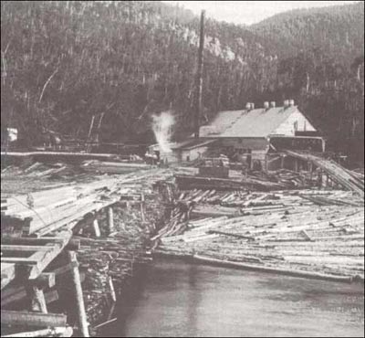 photo of a lumber mill