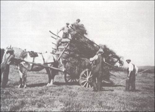 photo of men gathering hay into a horse drawn cart