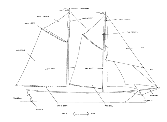 The Writers' Alliance Of Newfoundland And Labrador - Study Guide - Page 40