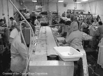 Fishplant employees at work