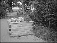 a public flower bed