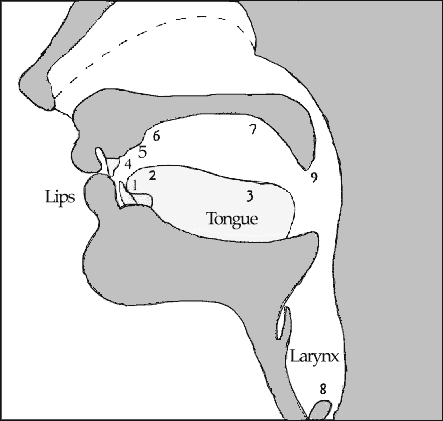 graphic of the Sound System of English