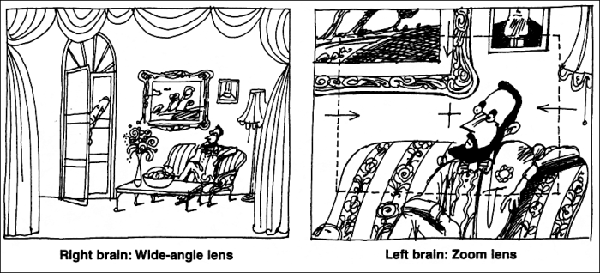graphic of an image showing the difference between the right brain and the left brain