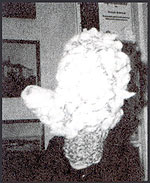 Norwegian Mitts (inside)