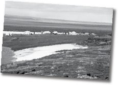 A wide shot of the camp site