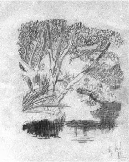 graphic of artwork illustrating an outdoor scene including trees and a small stream