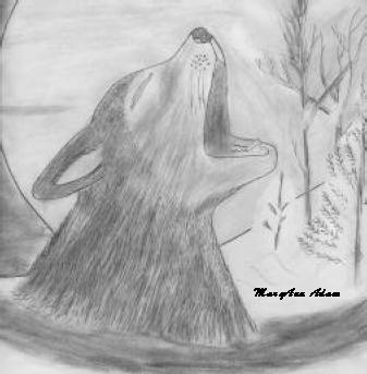 graphic of an illustration of a howling wolf