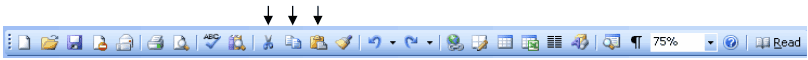 Standard toolbar indicating Cut, Copy and Paste buttons