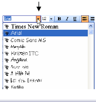 Font select menu