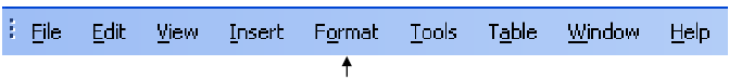 Format option on the File menu