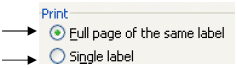 Label Print radio button option: Full Page of the same label.