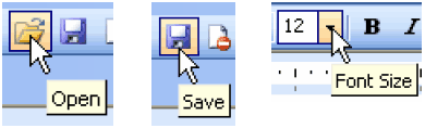 Toolbar icon menaings: the open folder means Open, the disk means Save and the combobox with 12 means Font Size