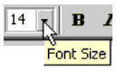 Font Size