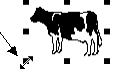 cow