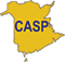 graphic : CASP logo
