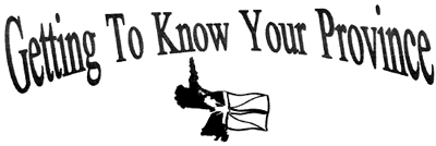 graphic of the words 